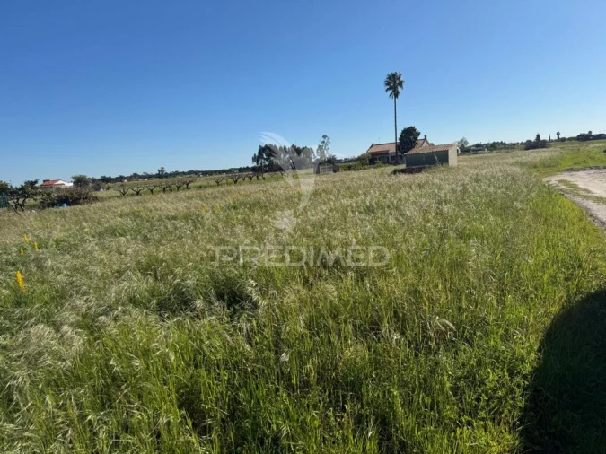 Terreno para Venda em Gambia-Pontes-Alto da Guerra