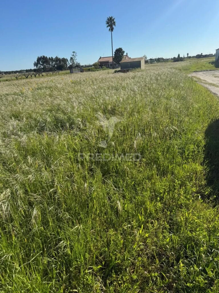 Terreno para Venda em Gambia-Pontes-Alto da Guerra Foto 4