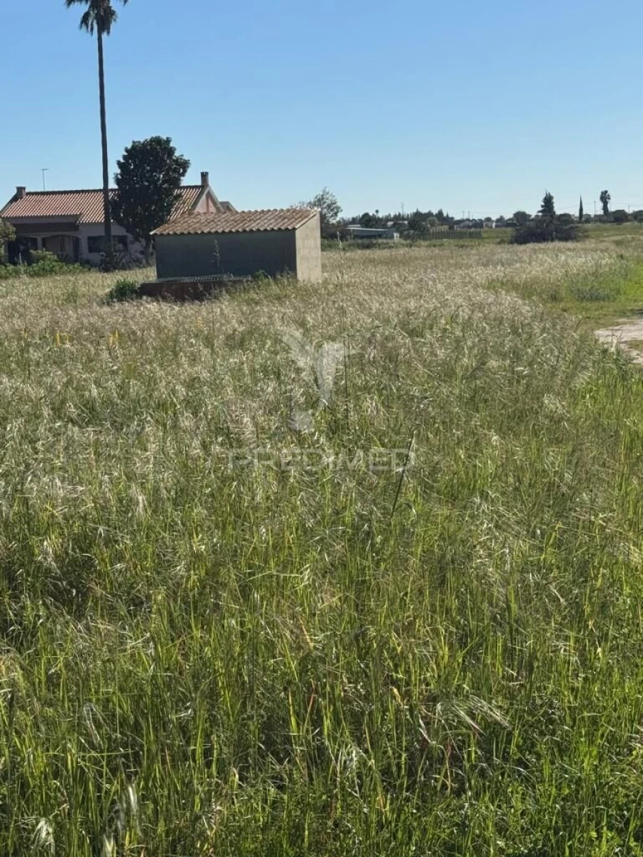 Terreno para Venda em Gambia-Pontes-Alto da Guerra Foto 6