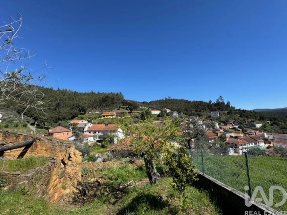 Moradia T4 para Venda em Troviscal Foto 26