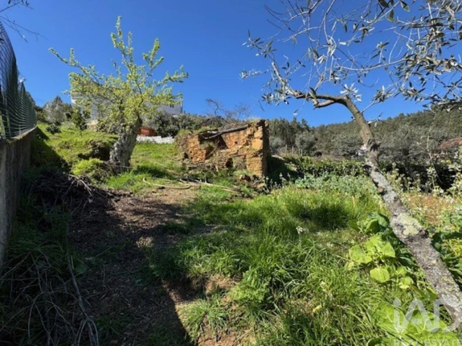 Moradia T4 para Venda em Troviscal Foto 23