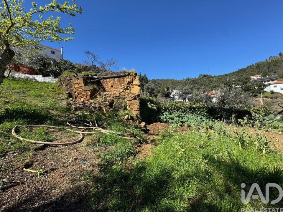 Moradia T4 para Venda em Troviscal Foto 27