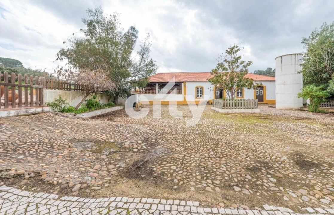 Moradia T10 para Venda em Chamusca e Pinheiro Grande Foto 26