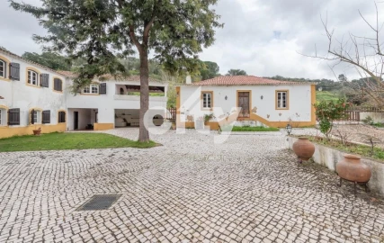 Moradia T10 para Venda em Chamusca e Pinheiro Grande