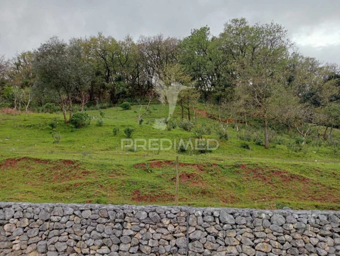 Terreno para Venda em Arrimal e Mendiga Foto 2