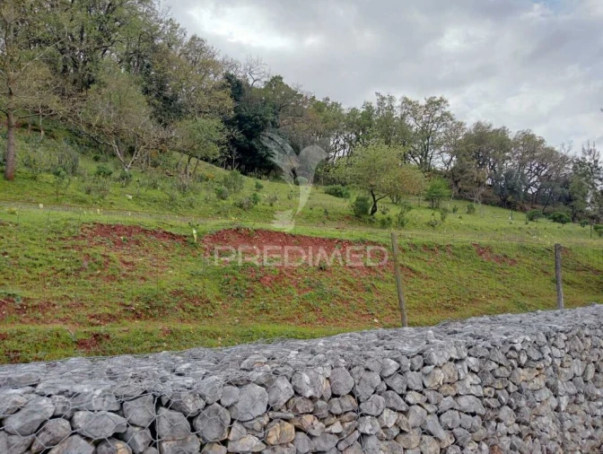 Terreno para Venda em Arrimal e Mendiga