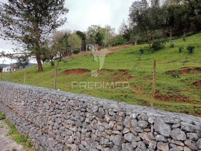 Terreno para Venda em Arrimal e Mendiga Foto 3