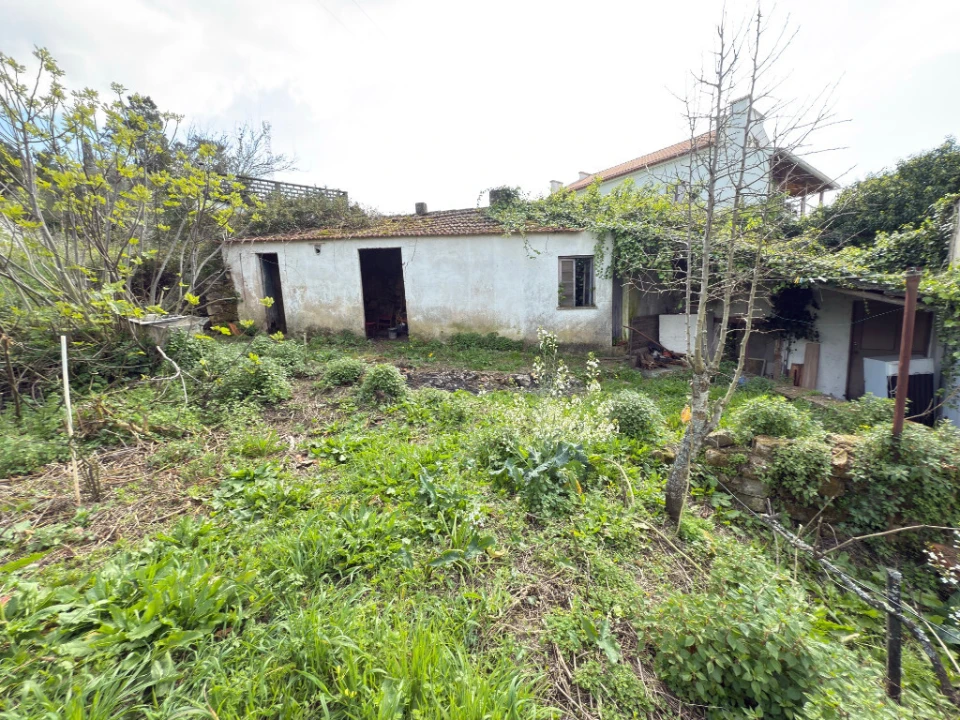 Moradia T4 para Venda em Eiras e São Paulo de Frades Foto 2