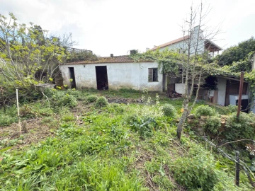 Moradia T4 para Venda em Eiras e São Paulo de Frades