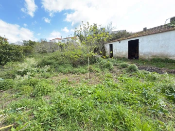 Moradia T4 para Venda em Eiras e São Paulo de Frades