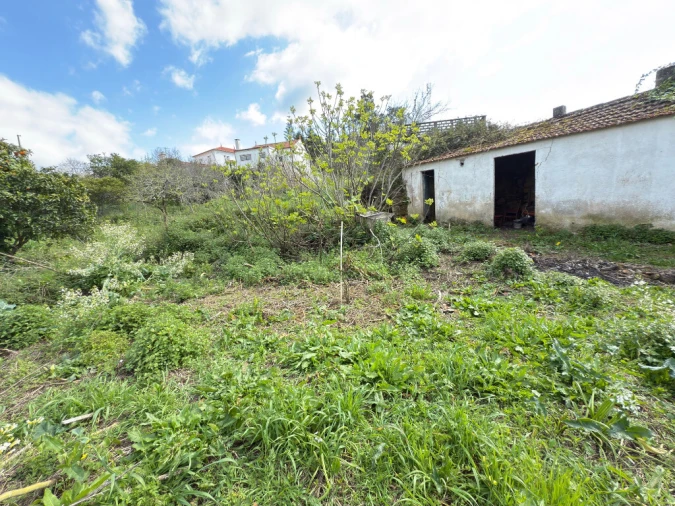 Moradia T4 para Venda em Eiras e São Paulo de Frades Foto 3