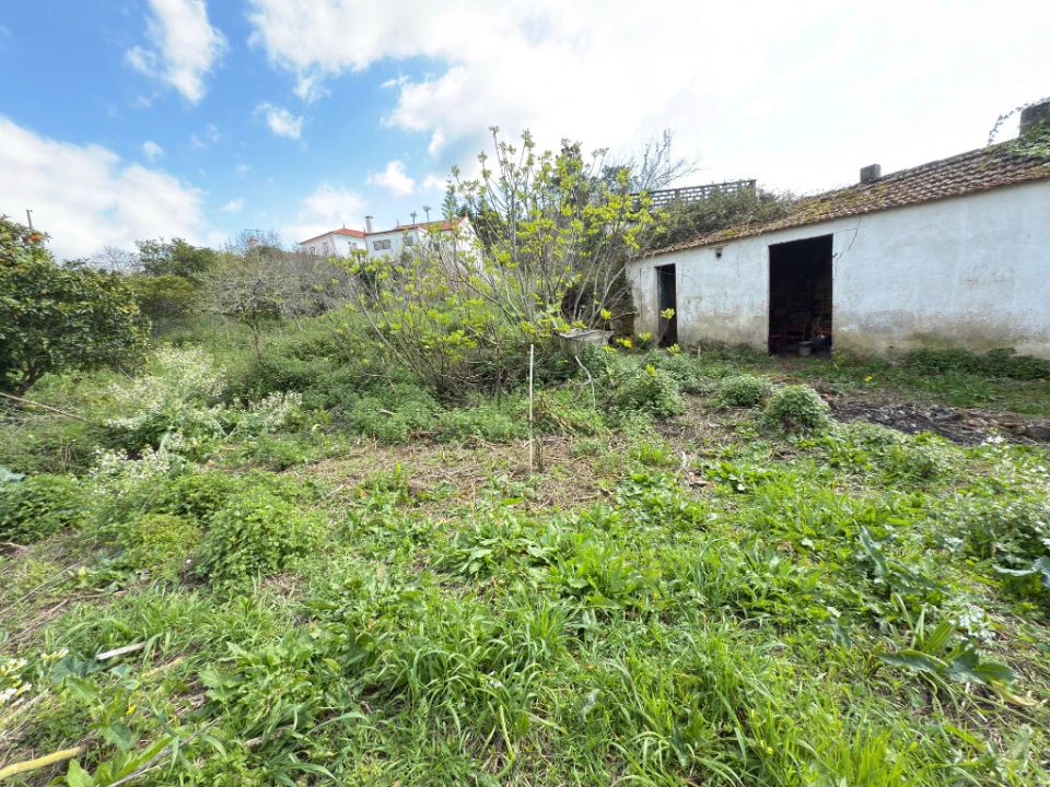 Moradia T4 para Venda em Eiras e São Paulo de Frades Foto 3