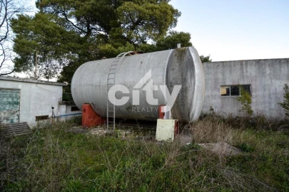 Armazém para Venda em Vale da Pedra