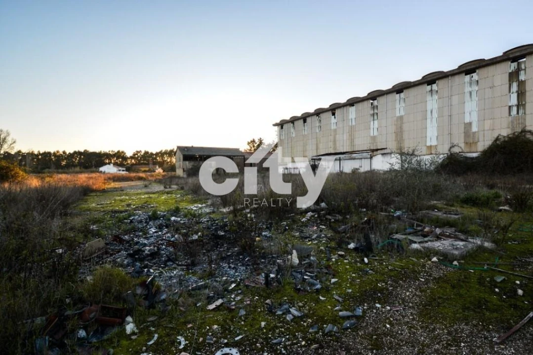 Armazém para Venda em Vale da Pedra Foto 21