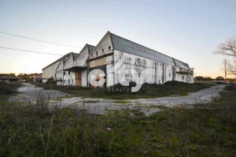Armazém para Venda em Vale da Pedra Foto 26
