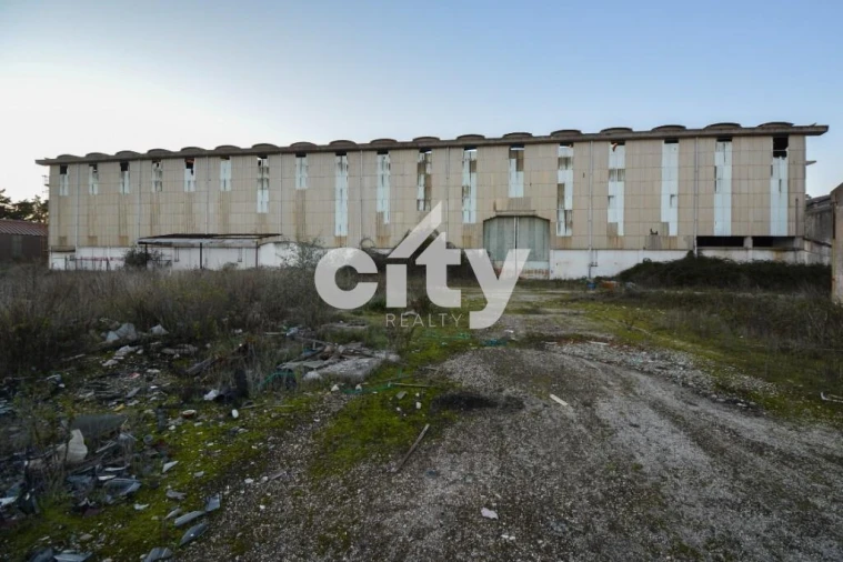 Armazém para Venda em Vale da Pedra Foto 22