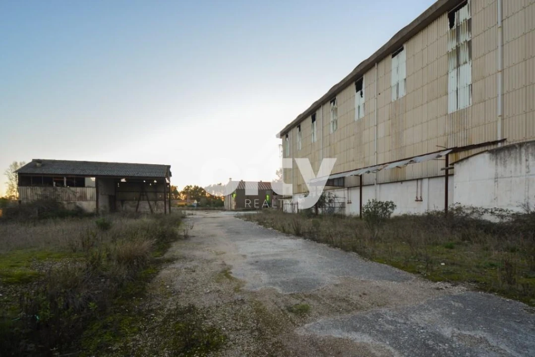 Armazém para Venda em Vale da Pedra Foto 19