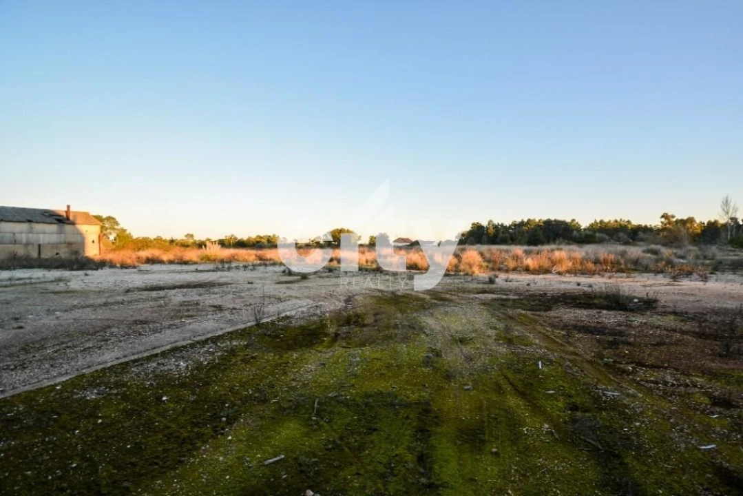 Armazém para Venda em Vale da Pedra Foto 13
