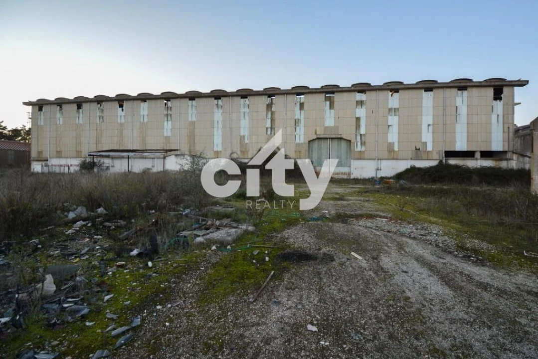 Armazém para Venda em Vale da Pedra Foto 22