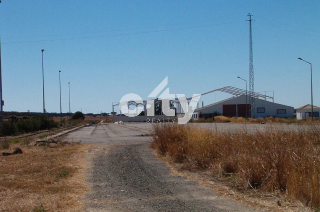 Terreno para Venda em Aljustrel e Rio de Moinhos Foto 13