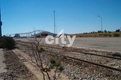 Terreno para Venda em Aljustrel e Rio de Moinhos