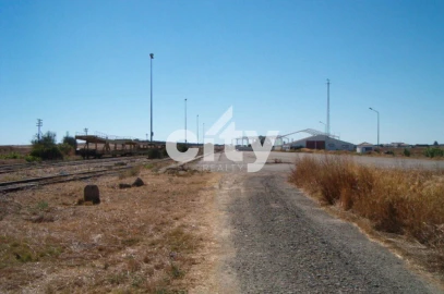 Terreno para Venda em Aljustrel e Rio de Moinhos