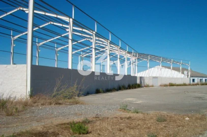 Terreno para Venda em Aljustrel e Rio de Moinhos