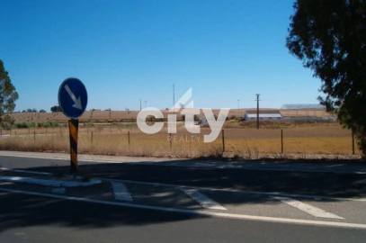 Terreno para Venda em Aljustrel e Rio de Moinhos