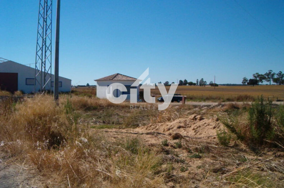 Terreno para Venda em Aljustrel e Rio de Moinhos Foto 28