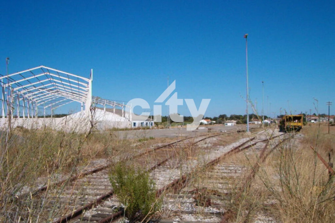 Terreno para Venda em Aljustrel e Rio de Moinhos Foto 19