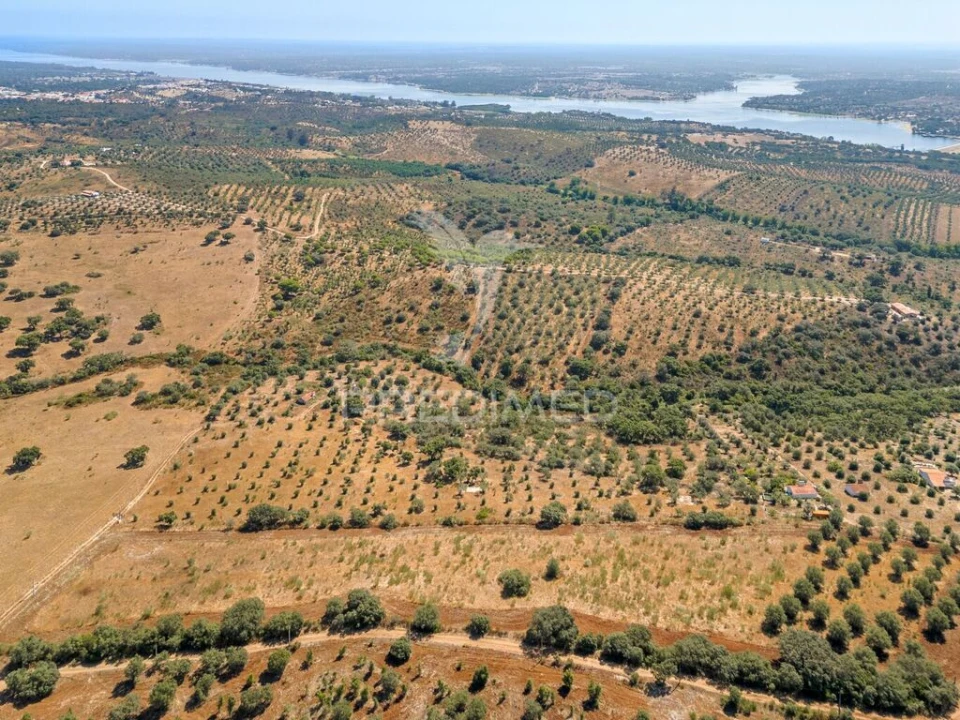 Quinta T4 para Venda em Montargil Foto 8