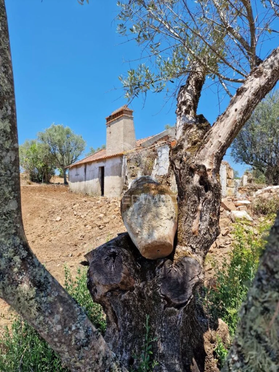 Quinta T4 para Venda em Montargil Foto 1