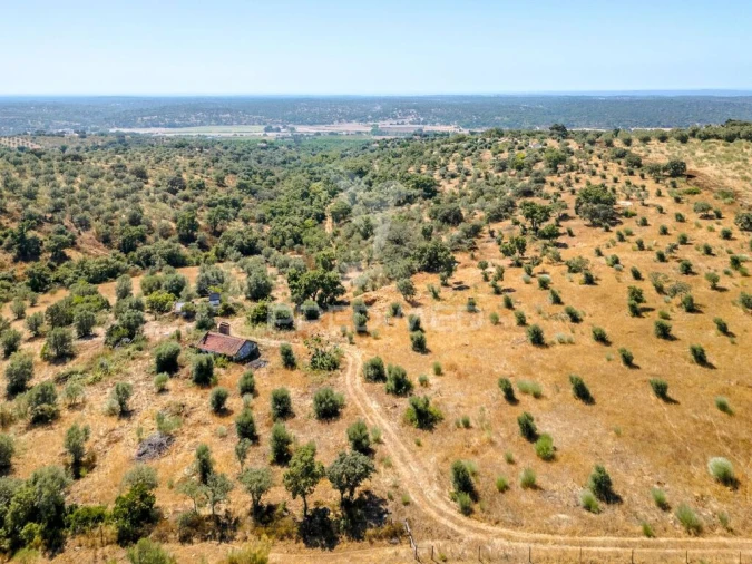 Quinta T4 para Venda em Montargil Foto 12
