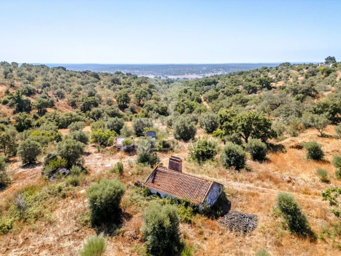 Quinta T4 para Venda em Montargil Foto 5