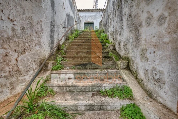 Moradia T5 para Venda em Chamusca e Pinheiro Grande Foto 7