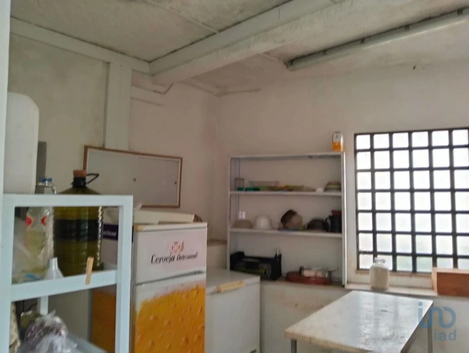 Terreno para Venda em Torres Novas (Santa Maria, Salvador e Santiago) Foto 13