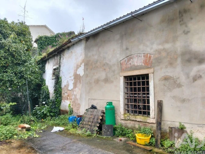 Terreno para Venda em Torres Novas (Santa Maria, Salvador e Santiago) Foto 20