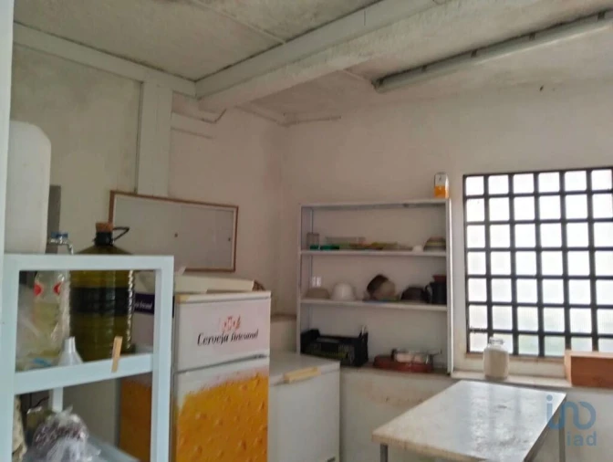 Terreno para Venda em Torres Novas (Santa Maria, Salvador e Santiago) Foto 13