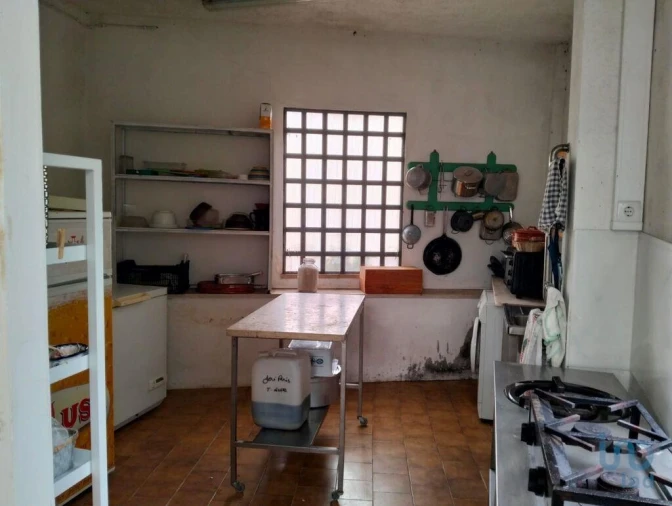 Terreno para Venda em Torres Novas (Santa Maria, Salvador e Santiago) Foto 14