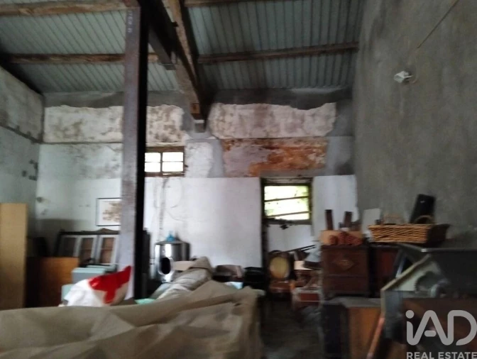 Terreno para Venda em Torres Novas (Santa Maria, Salvador e Santiago) Foto 23