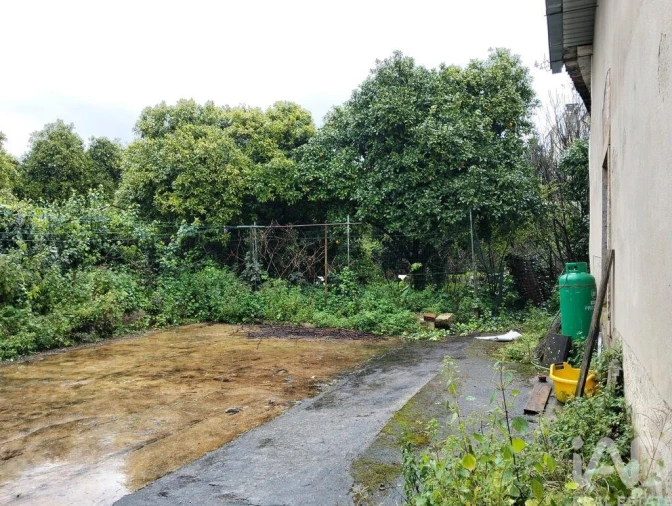 Terreno para Venda em Torres Novas (Santa Maria, Salvador e Santiago) Foto 16