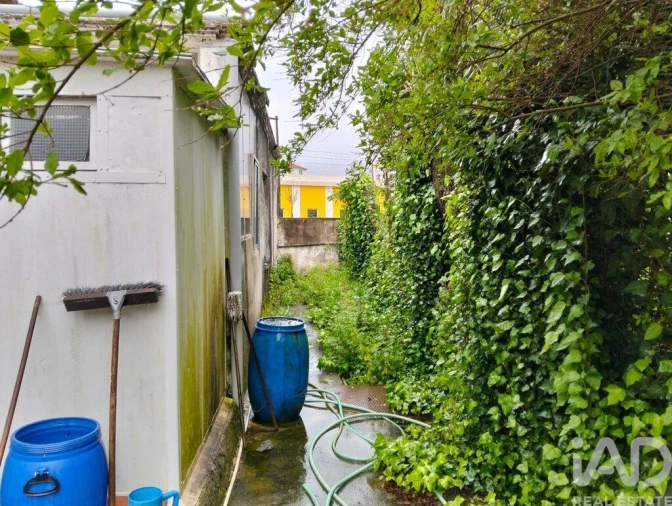 Terreno para Venda em Torres Novas (Santa Maria, Salvador e Santiago) Foto 18