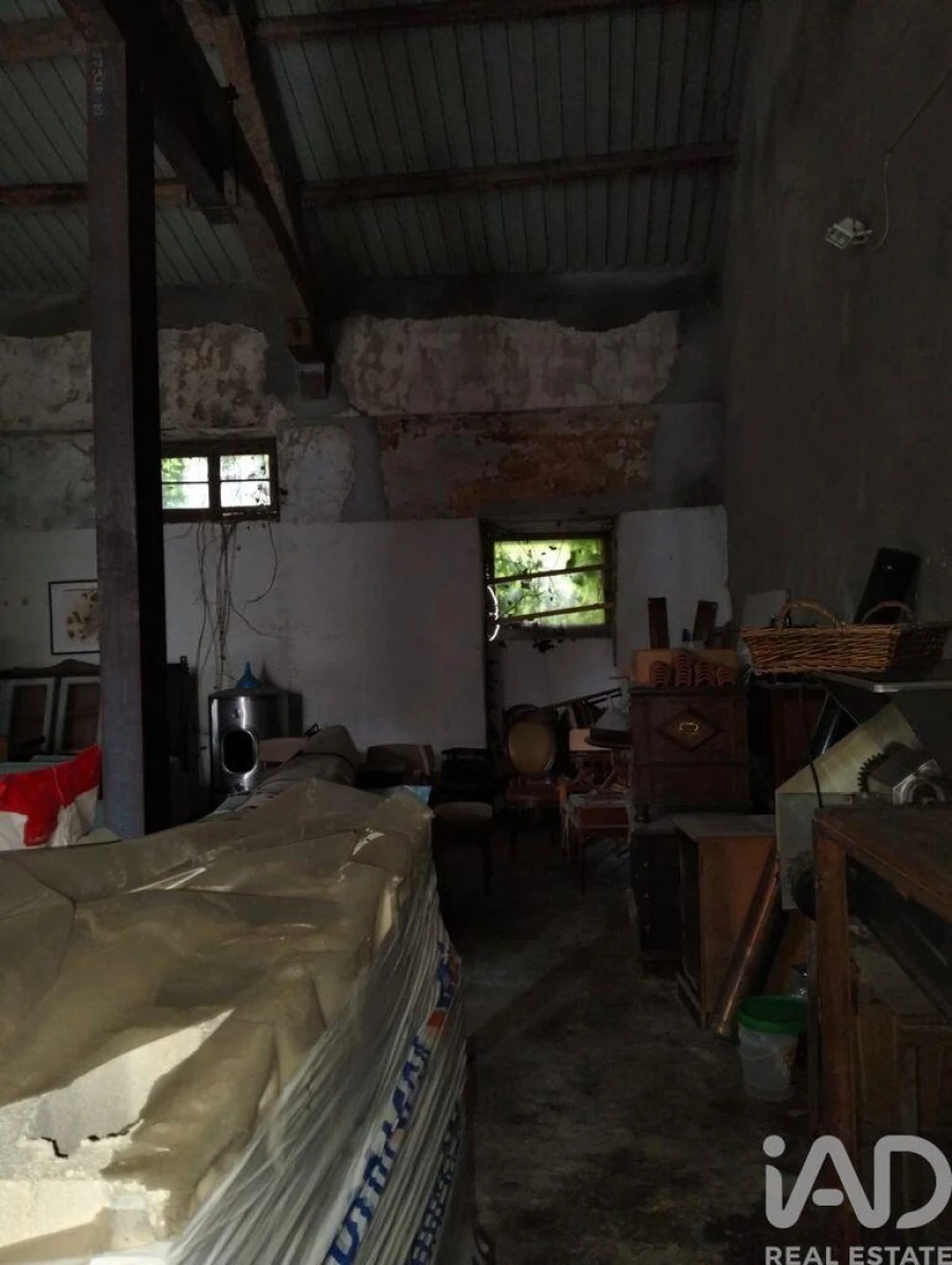 Terreno para Venda em Torres Novas (Santa Maria, Salvador e Santiago) Foto 24