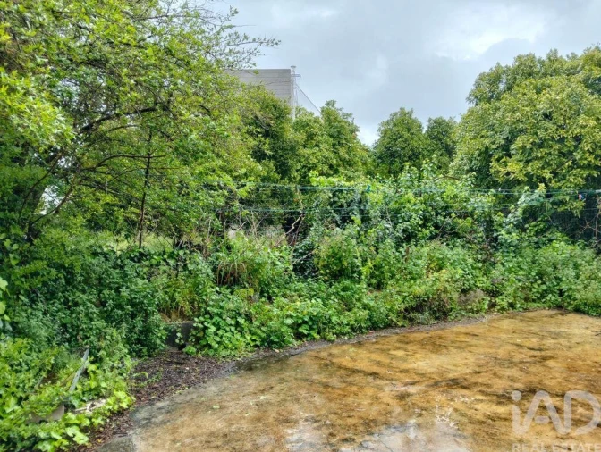 Terreno para Venda em Torres Novas (Santa Maria, Salvador e Santiago) Foto 17