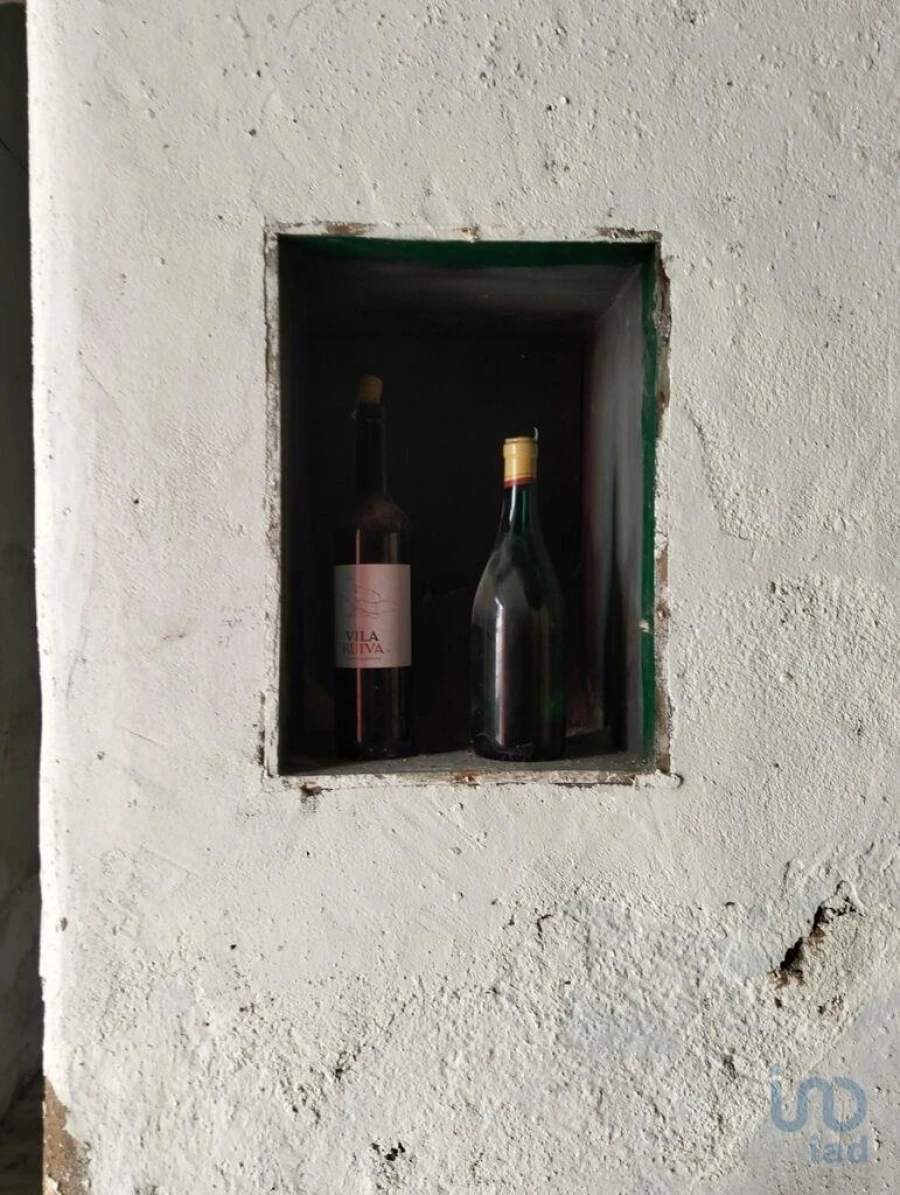 Terreno para Venda em Torres Novas (Santa Maria, Salvador e Santiago) Foto 12