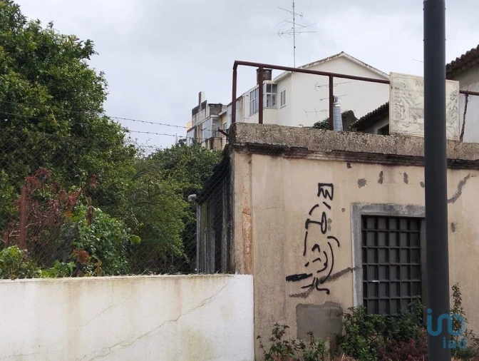 Terreno para Venda em Torres Novas (Santa Maria, Salvador e Santiago) Foto 3