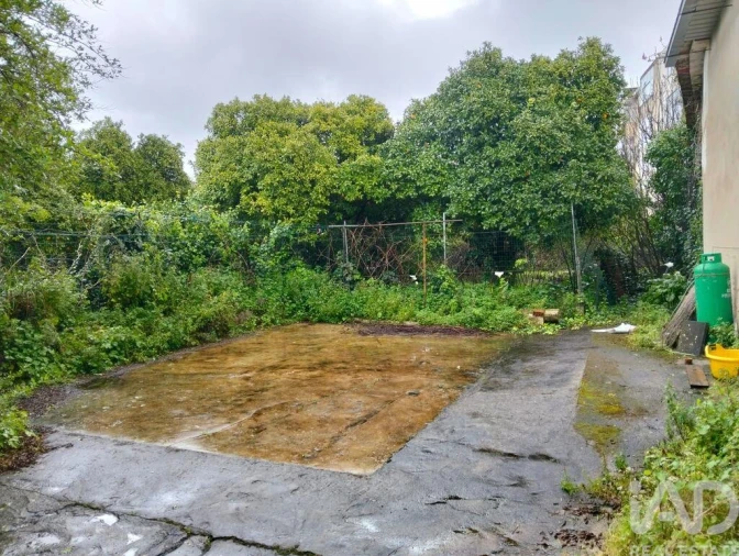 Terreno para Venda em Torres Novas (Santa Maria, Salvador e Santiago) Foto 19