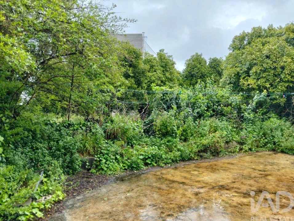 Terreno para Venda em Torres Novas (Santa Maria, Salvador e Santiago) Foto 17