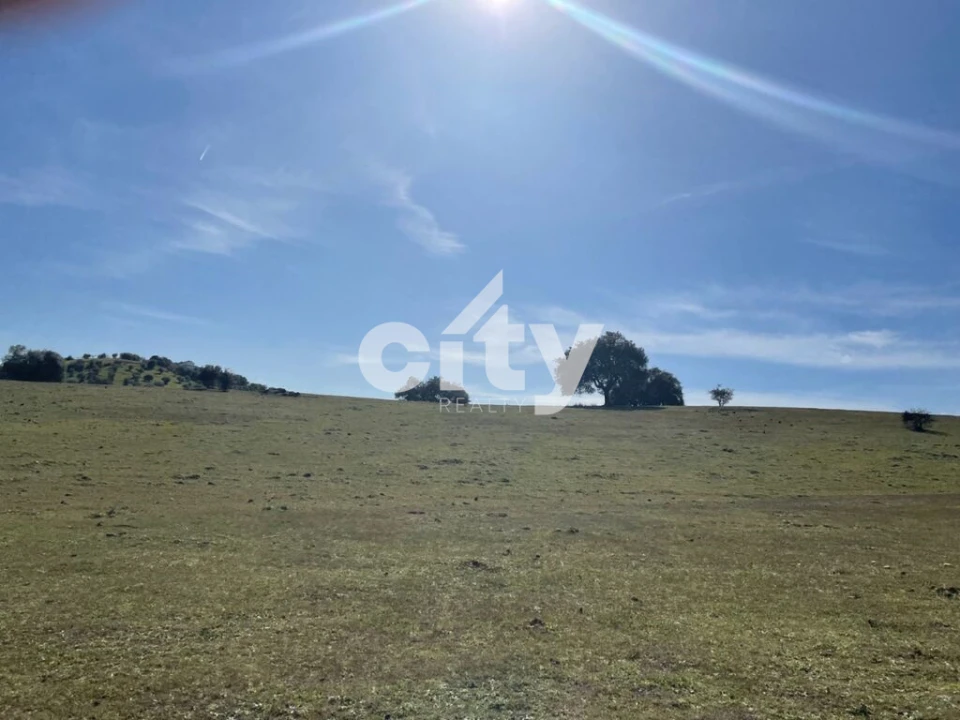 Quinta T8 para Venda em Amieira e Alqueva Foto 24