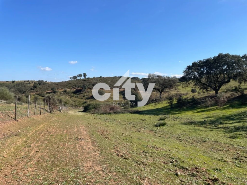 Quinta T8 para Venda em Amieira e Alqueva Foto 35